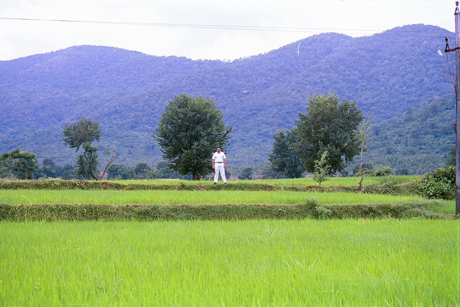 Myself standing by the hills; on the outer perimeter of our farm boundary, in 'Mallehpur', Monghyr(district), BIHAR. Presently our farm needs capital investment; ( a new Tractor-trailer, an alumunium grain silo, fencing of the property perimeter, organic fertilizers, ) due to years of neglect !